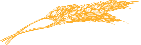 Ingredient Colloidal Oatmeal