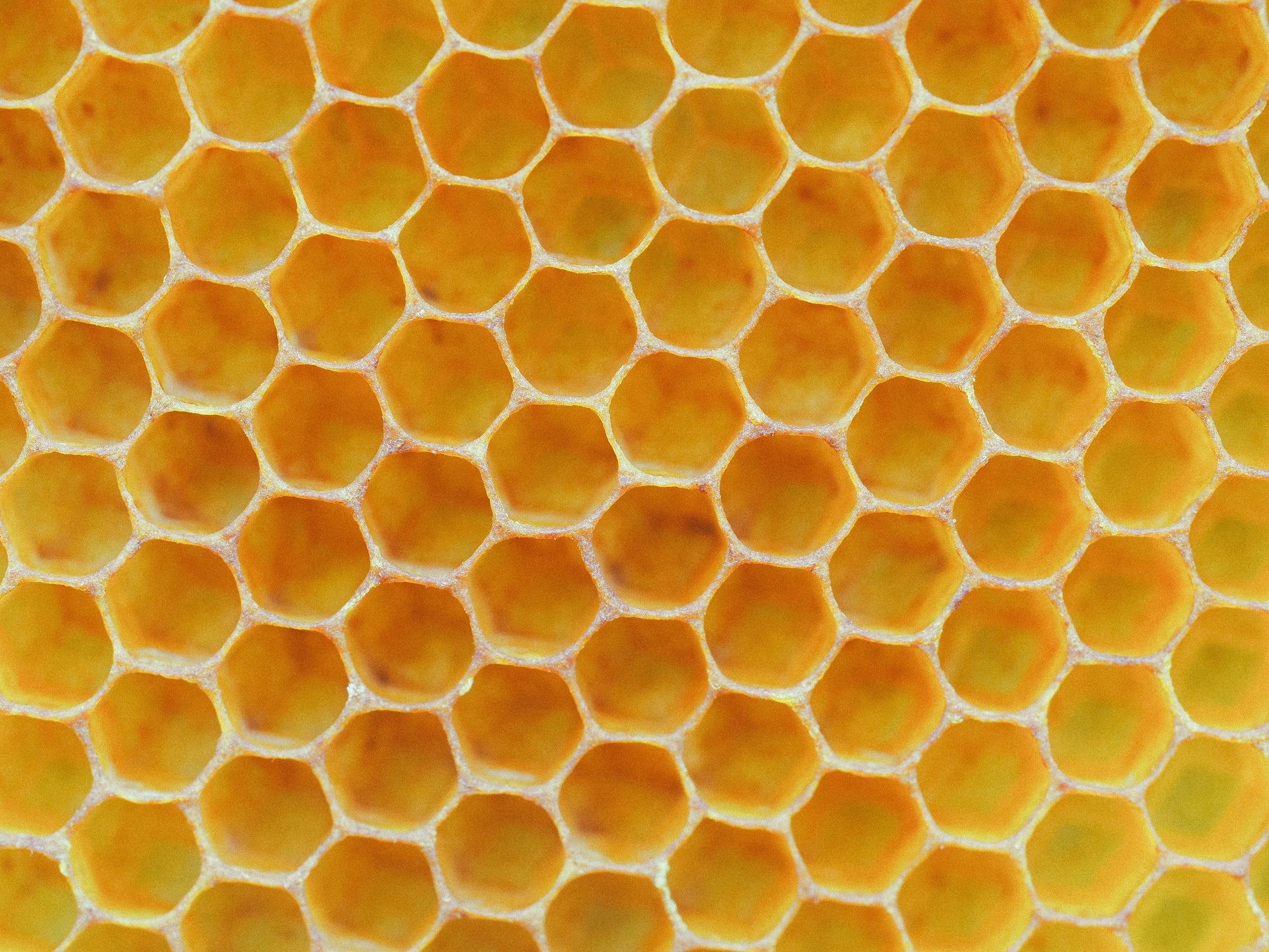 How Beeswax Helps Build the Protective Layers of Your Skin