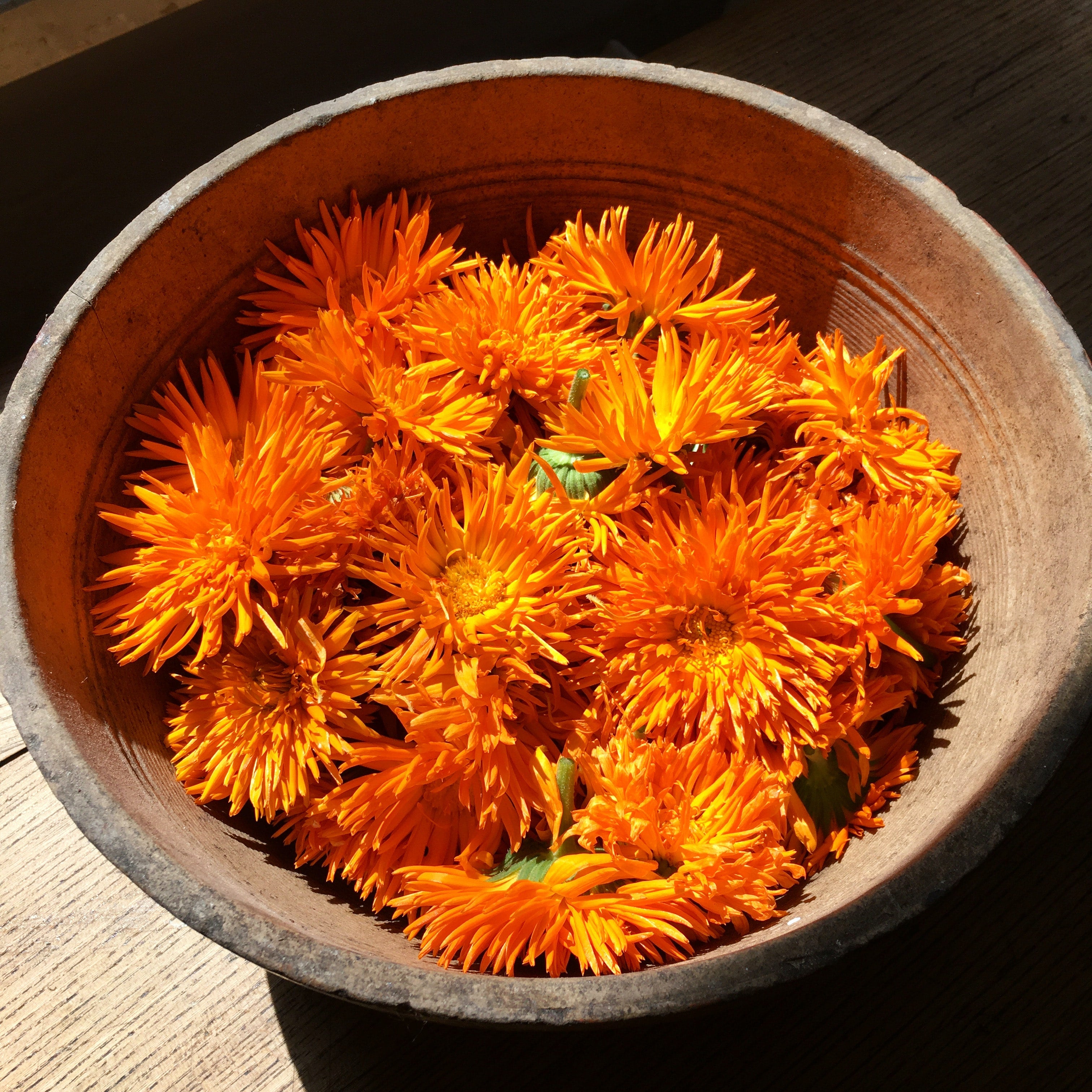 The Benefits of Calendula Flowers in Skincare